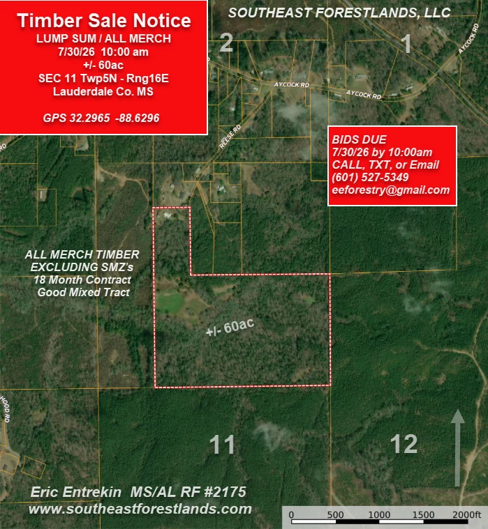 Aerial sale map of the ±60-acre Lauderdale County, MS timber sale in Section 11, T5N-R16E