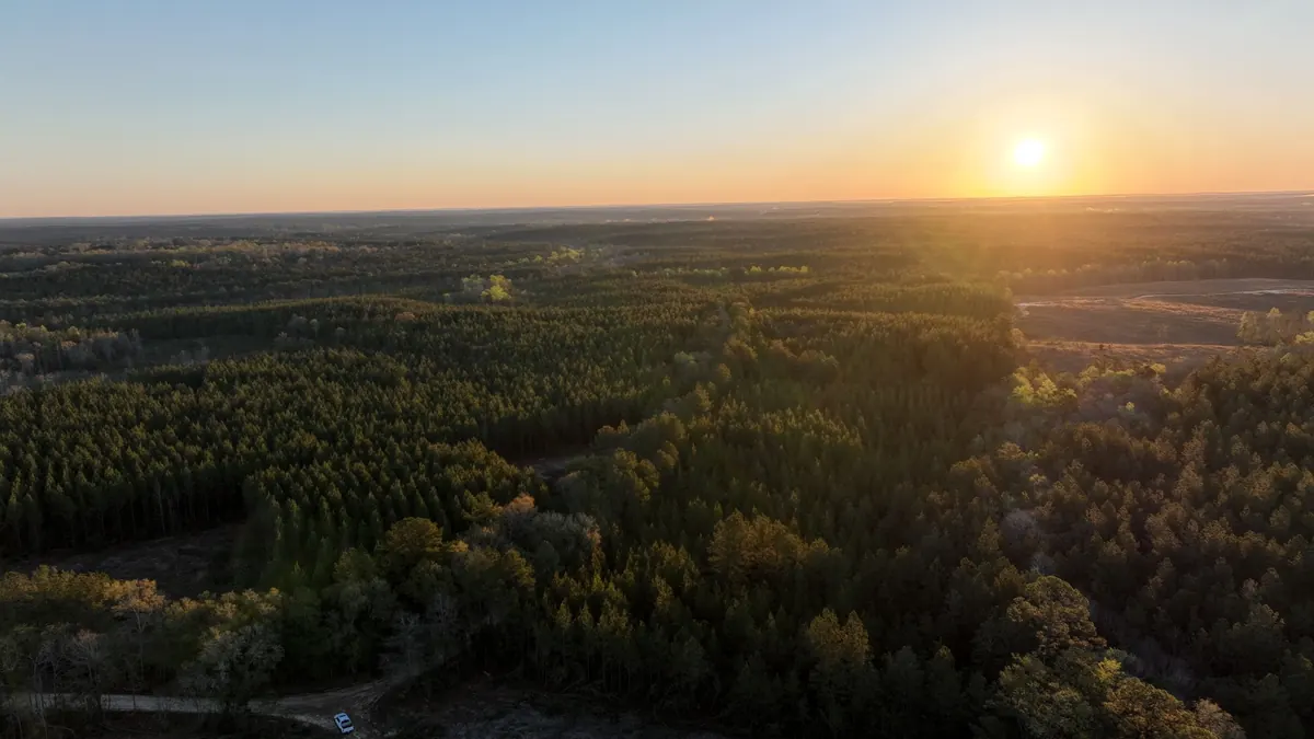 Sunrise over a mixed-pine timber sale tract in East-Central Mississippi