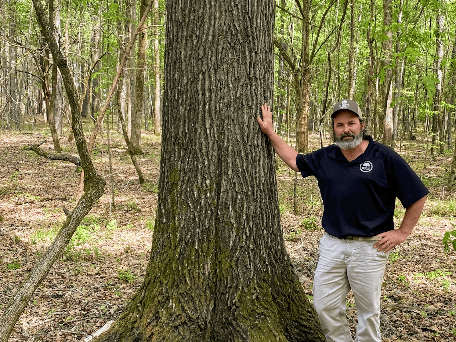 Eric Entrekin, Registered Forester, standing with his hand on the trunk of a large mature hardwood in a Mississippi bottomland stand