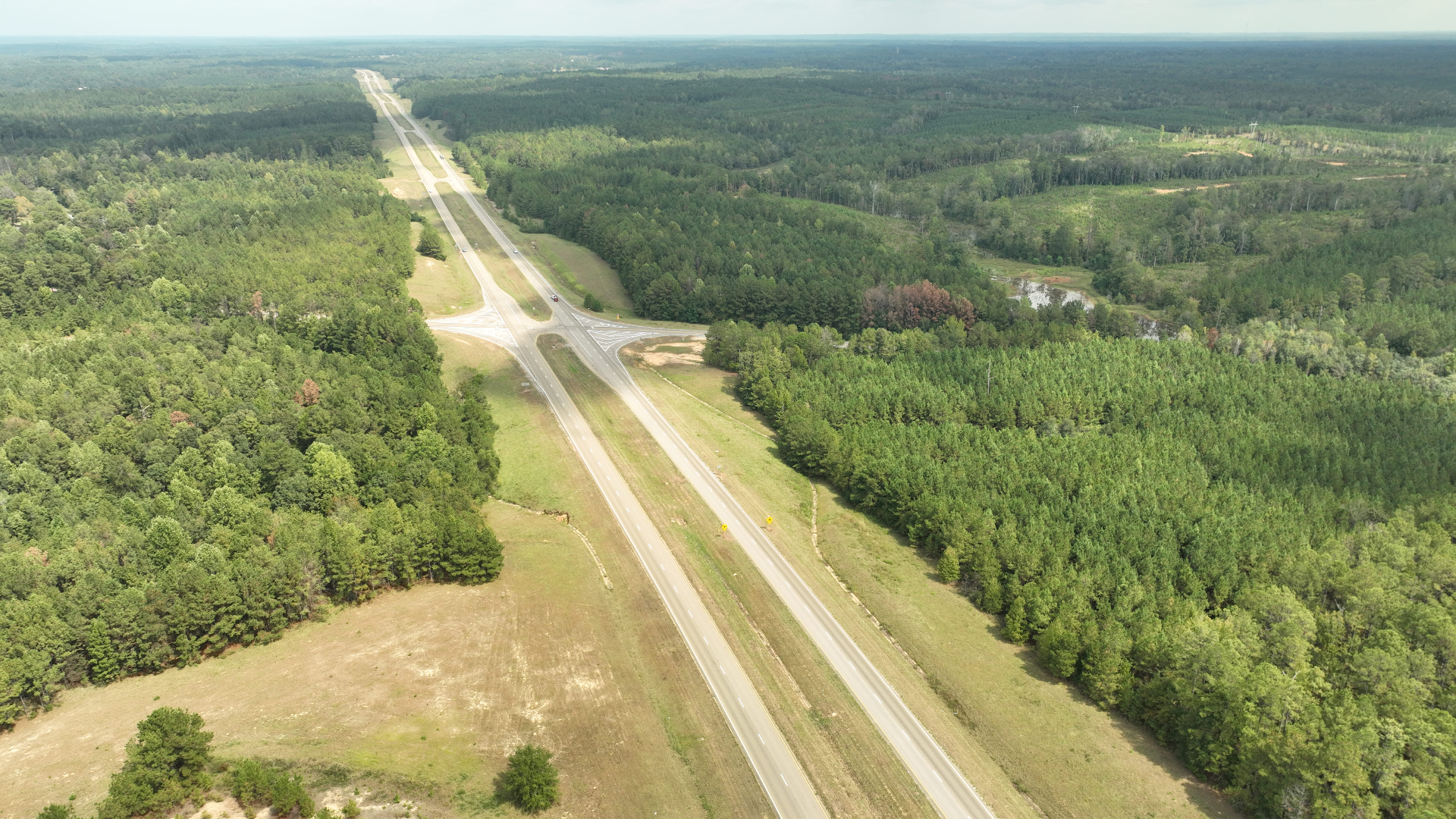 Roadside timberland along Mississippi Highway 45 in Clarke County, Mississippi