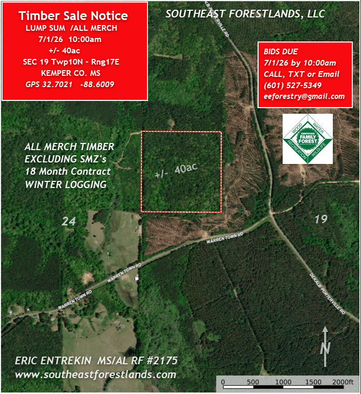 Aerial sale map of the ±40-acre Kemper County, MS timber sale in Section 19, T10N-R17E off Warren Town Road