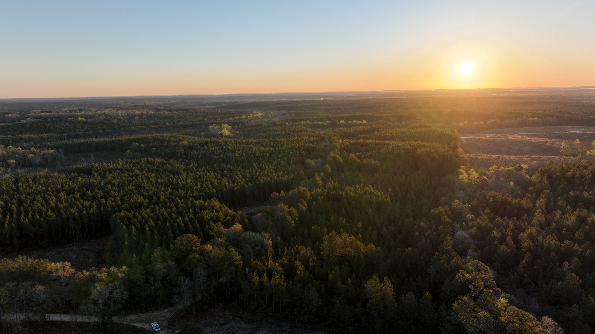 Aerial sunrise over a mixed-pine timber tract in East-Central Mississippi