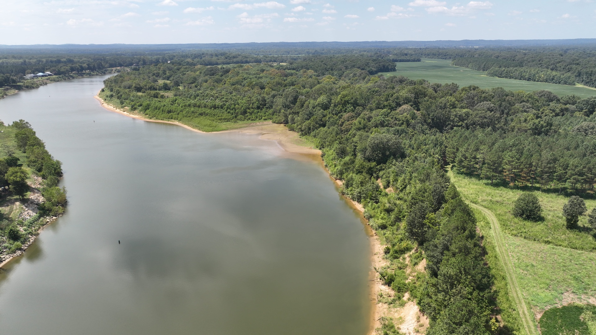 Streamside Management Zone (SMZ) protected along a southern timber harvest