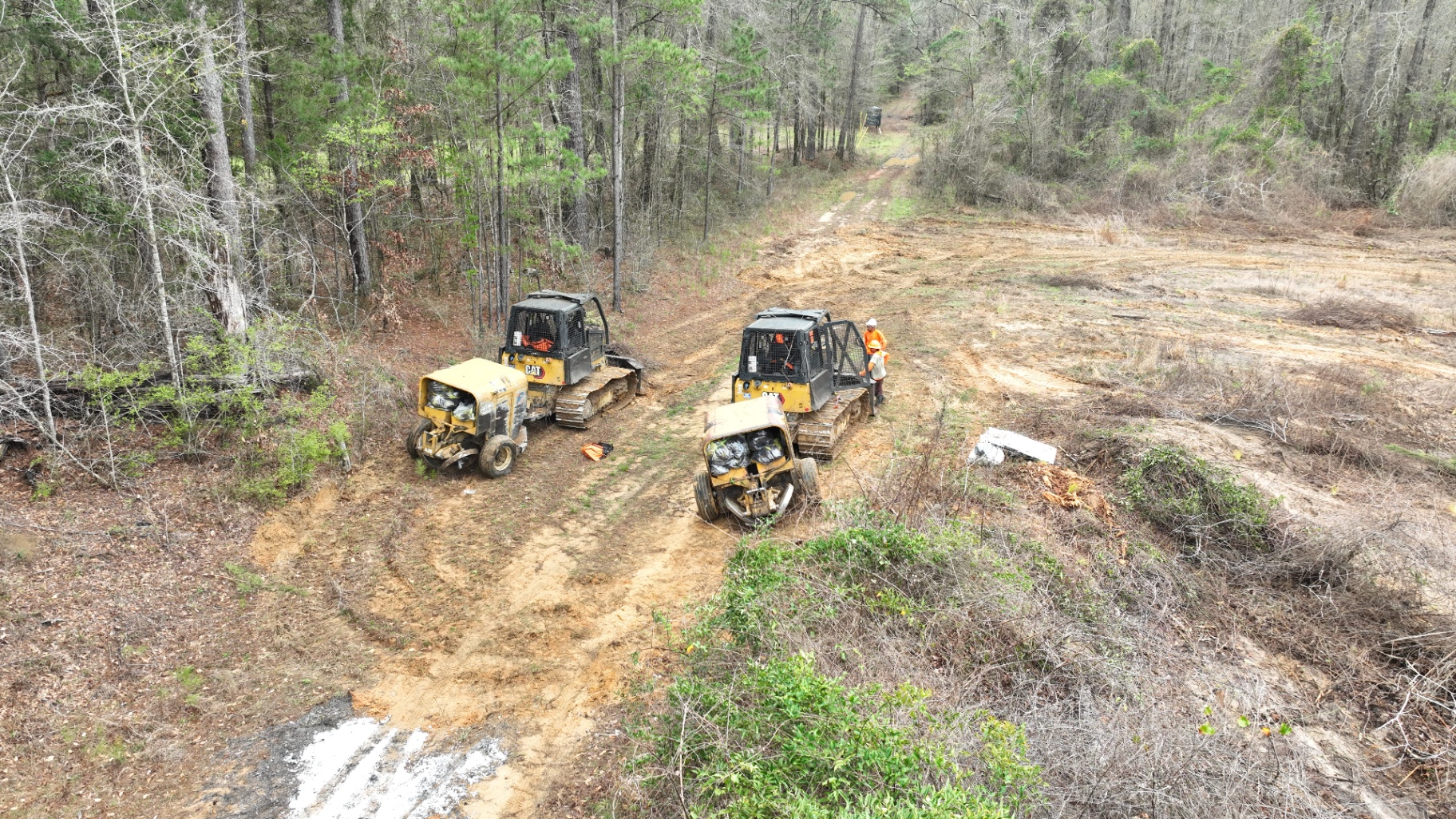 Tree planting crew installing longleaf pine seedlings on a reforestation tract
