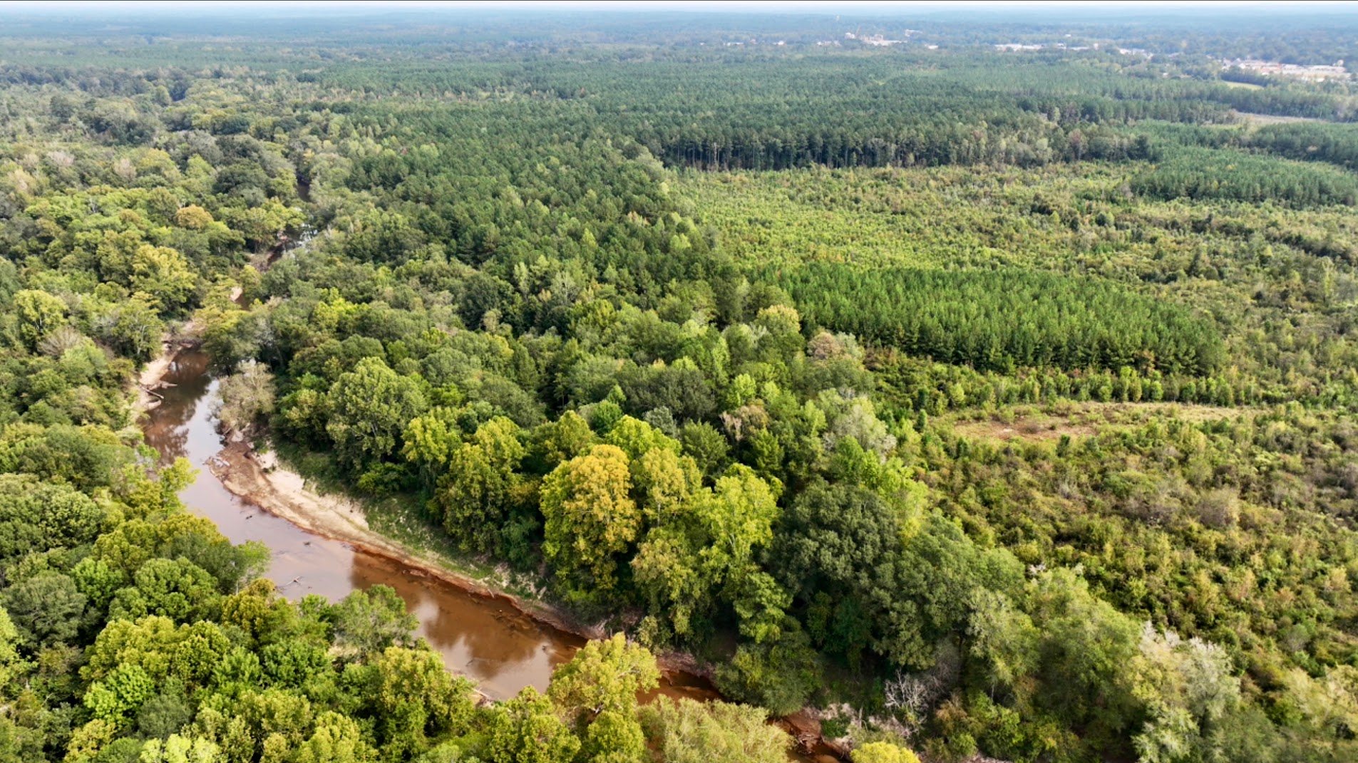 Aerial view of a Mississippi pine and hardwood tract with a stream — illustrating access and operability factors