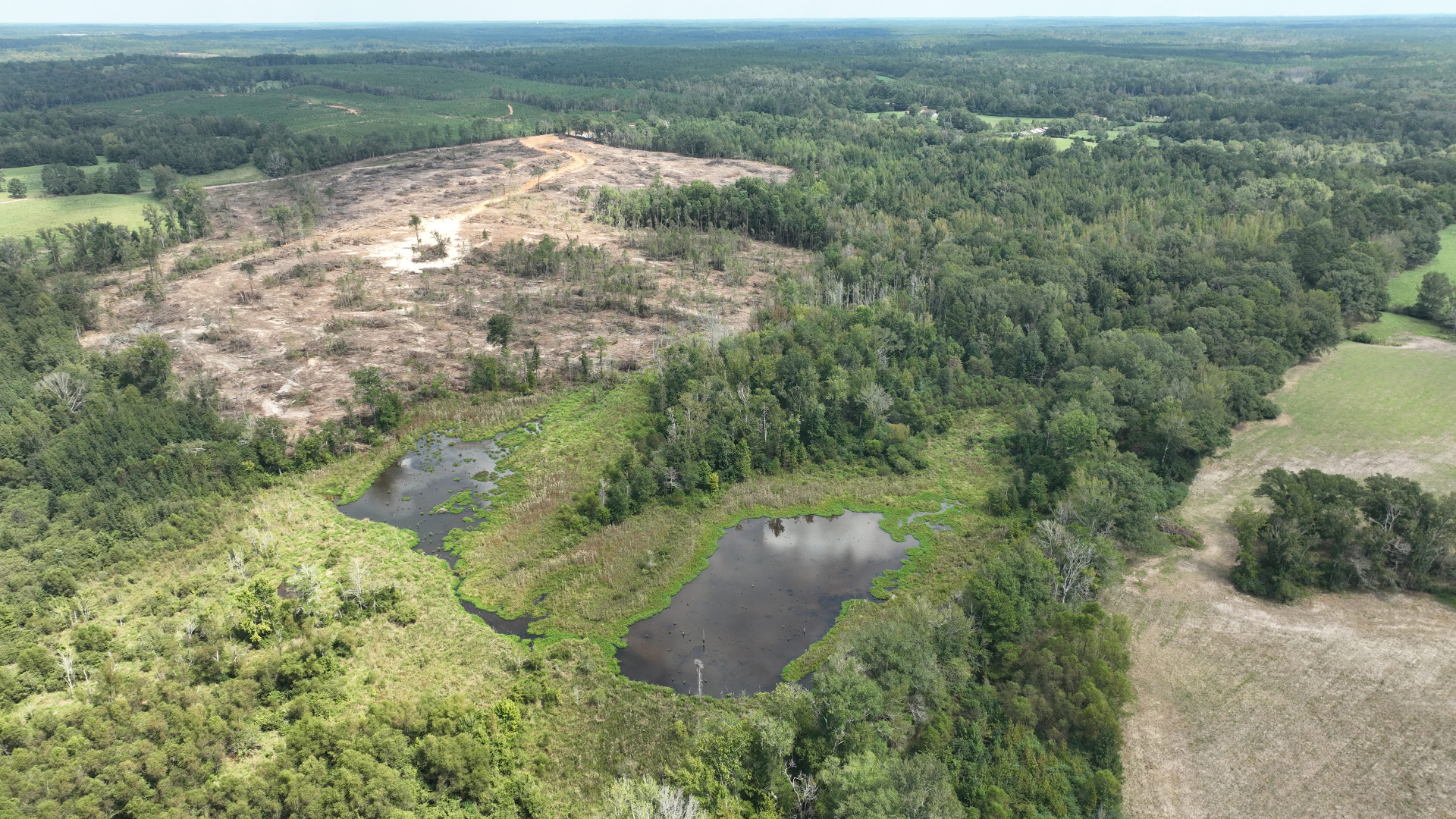 Neshoba County, Mississippi clearcut harvest site ready for site prep and pine reforestation, with adjacent wetland and standing timber
