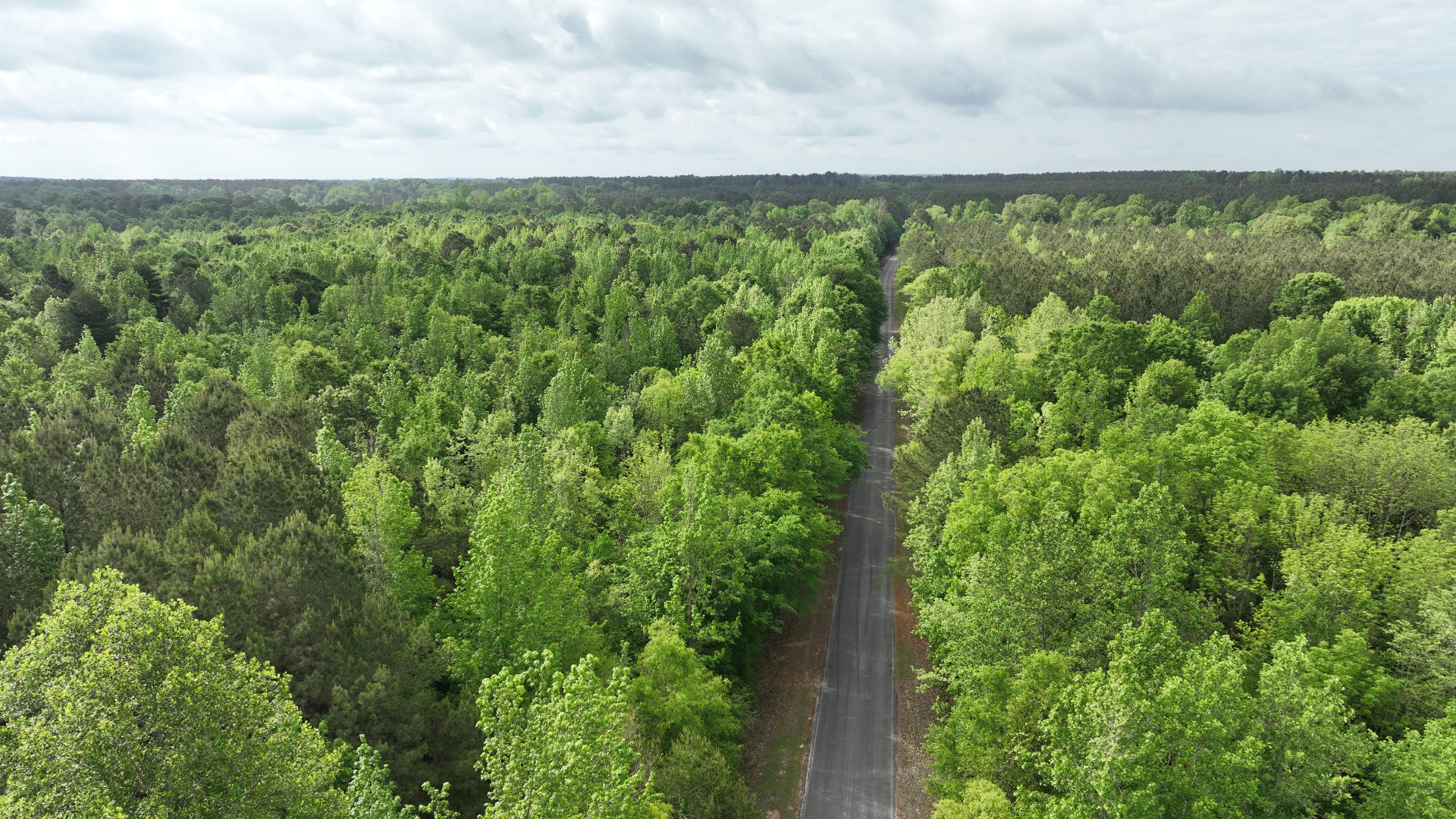 Aerial view of Newton County, Mississippi timberland with road through pine and hardwood forest