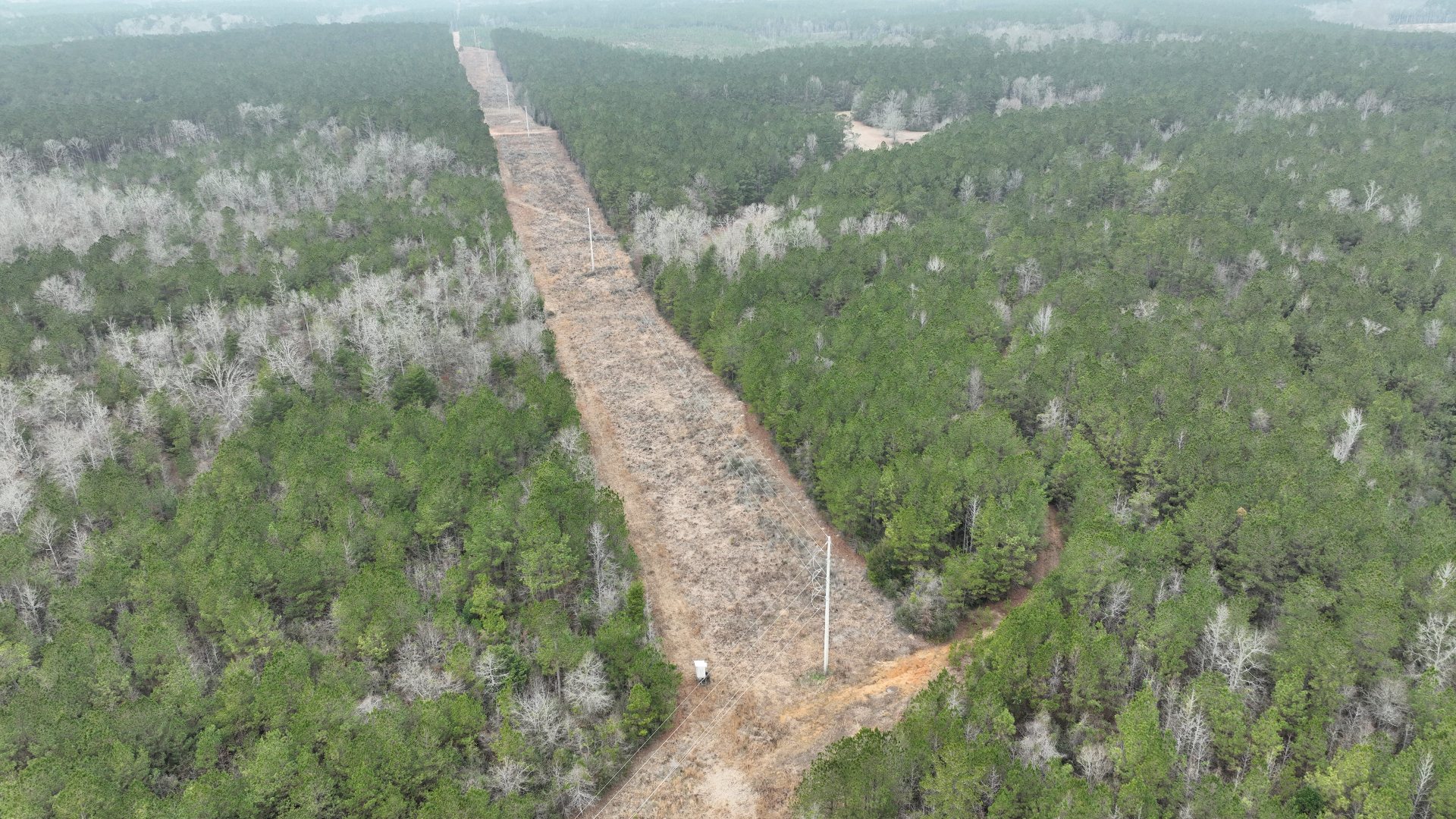 Wayne County, Mississippi powerline right-of-way cut through pine timberland — aerial view
