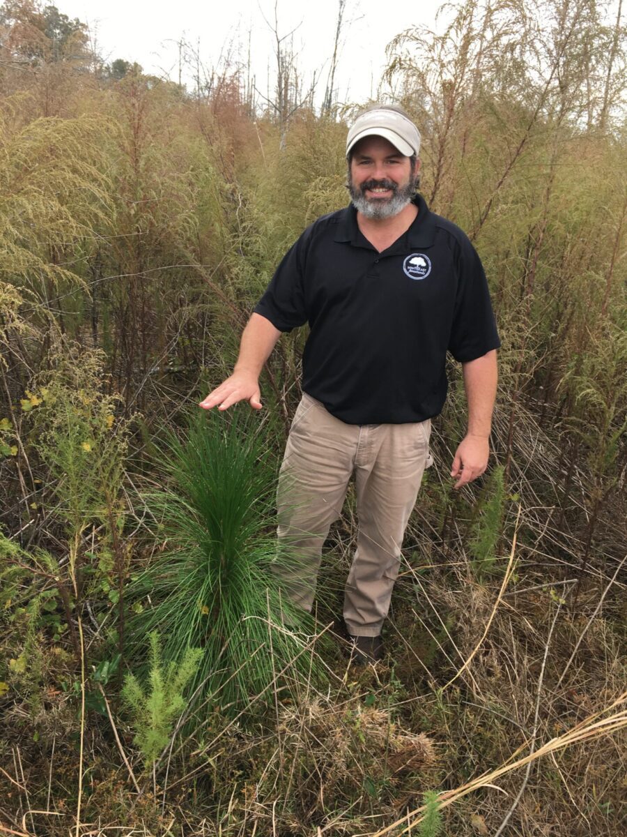 Eric Entrekin with a young longleaf pine
