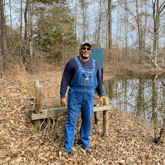 reforestation for timberland