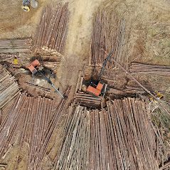 Timber Sale