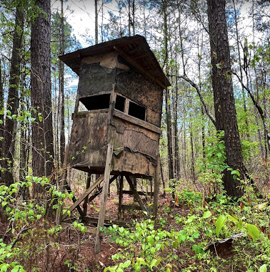 Old deer stand on hunting property