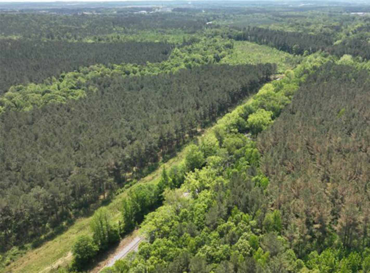 timber sales noxubee county ms