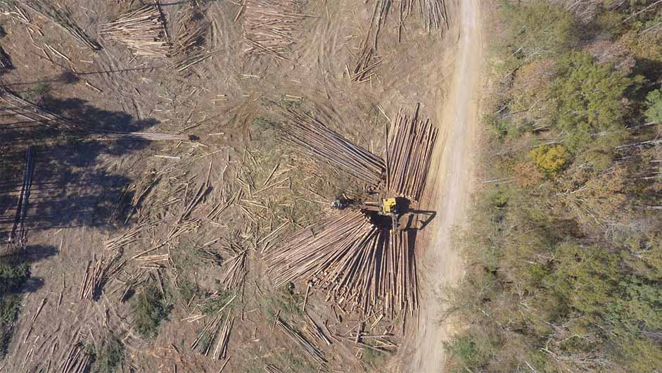 arial of loggers