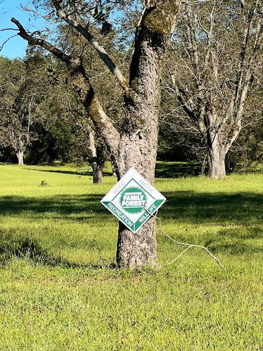 Tree Farm Sign
