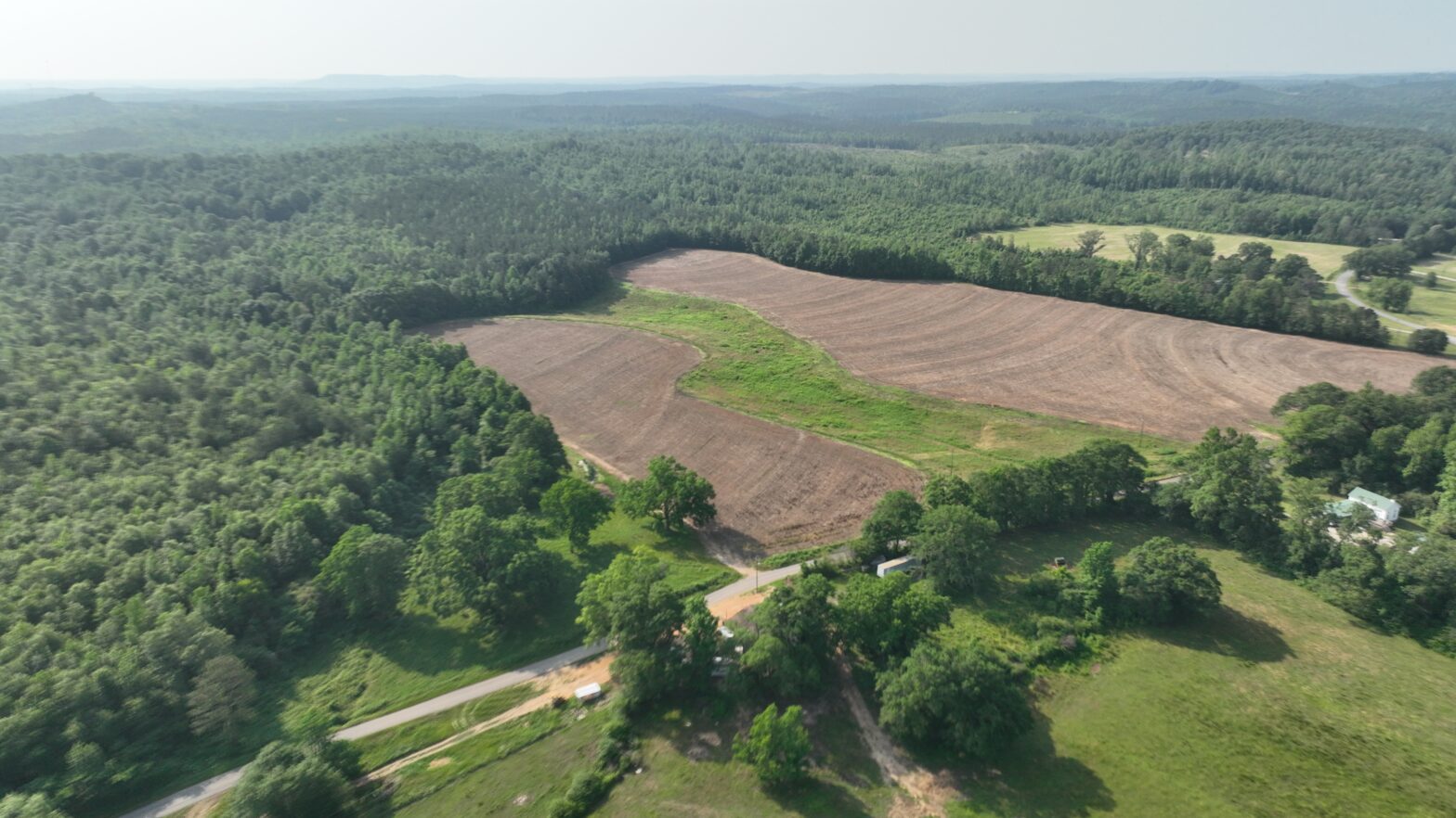 forestry management company brandon ms