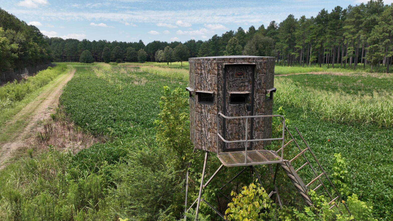 sell my timber simpson county ms