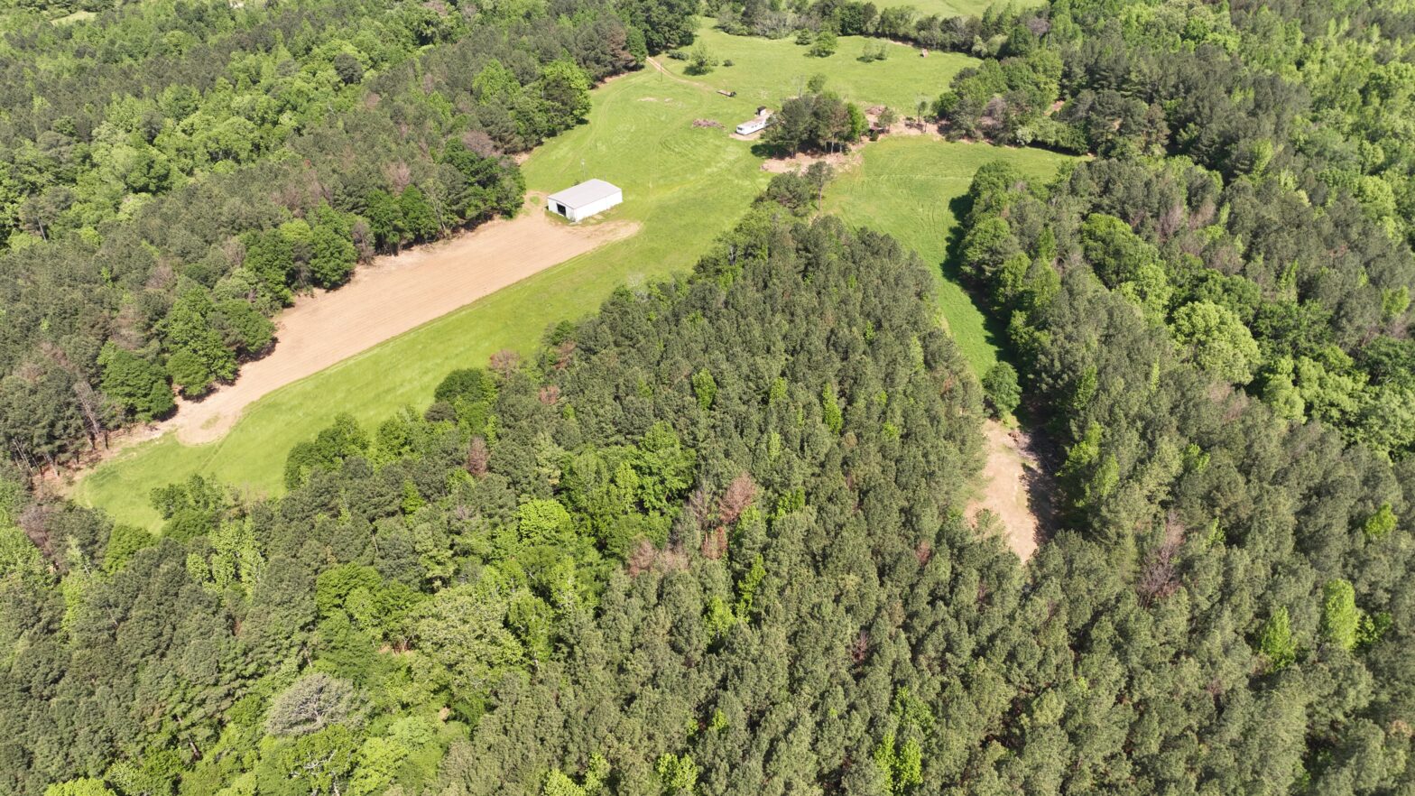forestry management consultant yazoo county ms