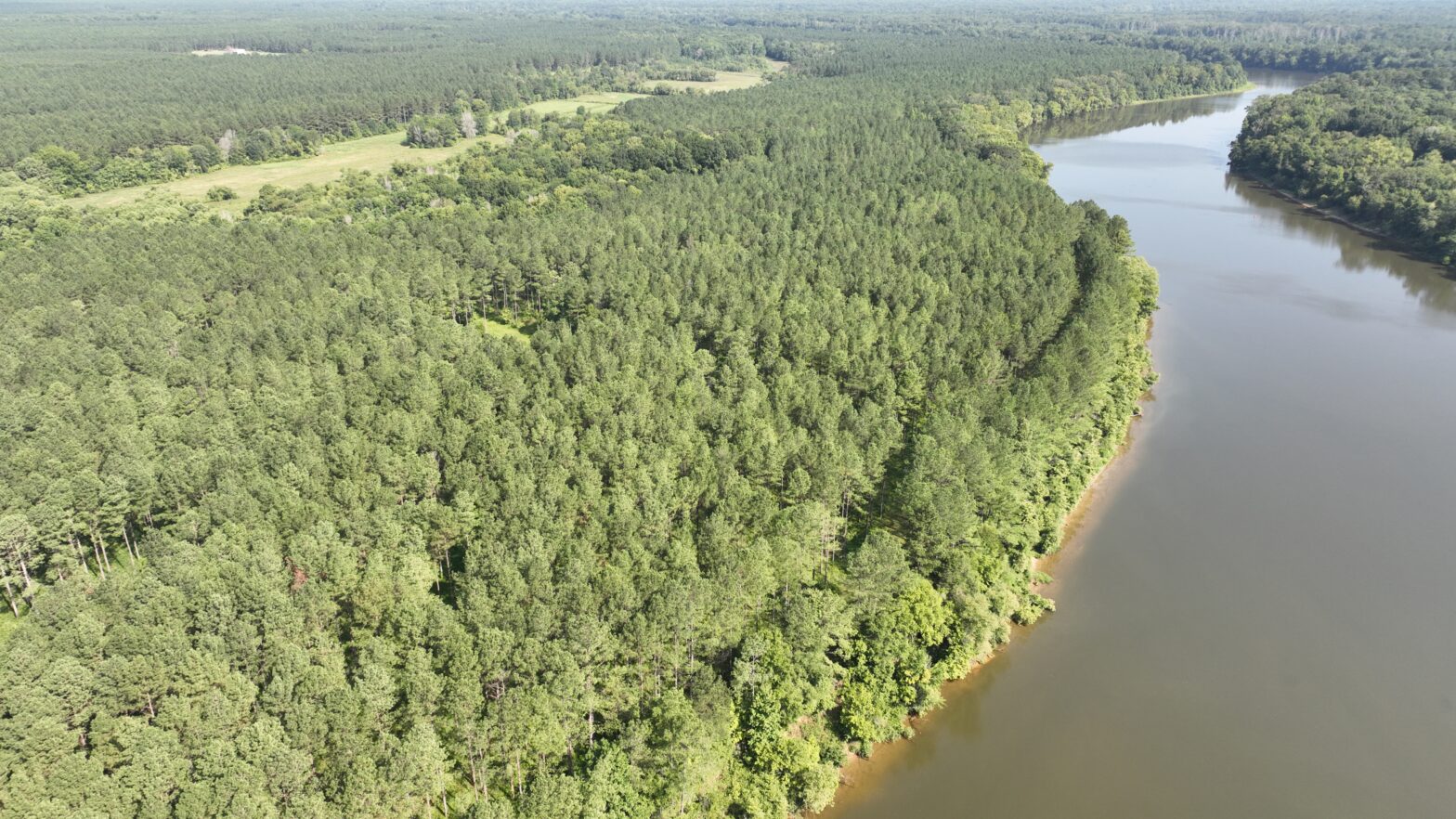 timber sales and timber buyers pickens al