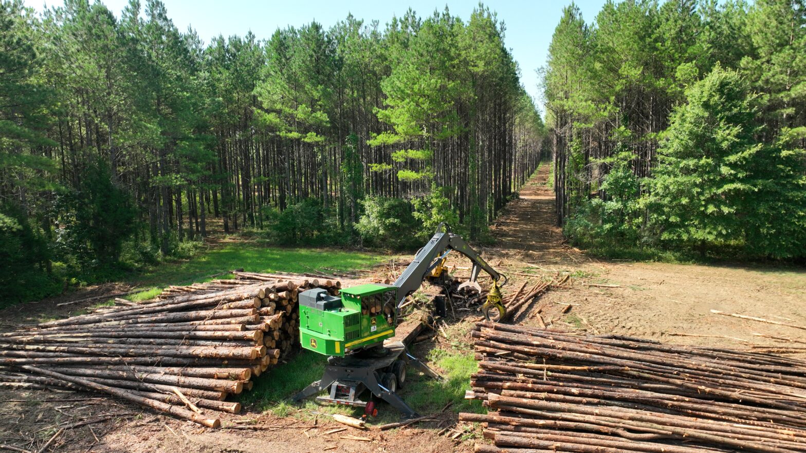 Loader sorting pine logs during timber harvesting operation in Lauderdale County, MS