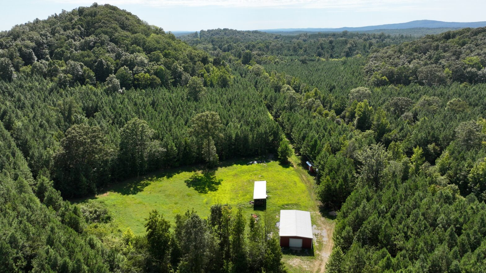 timber sales franklin county ms