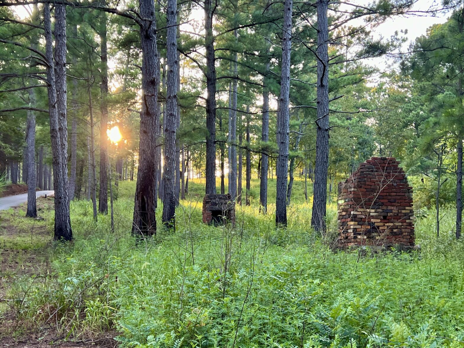 timber sales leake county ms