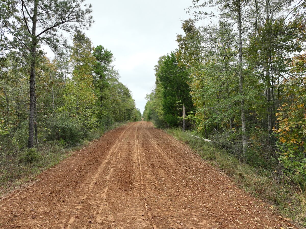 Surface vs. Mineral Rights Mississippi Alabama